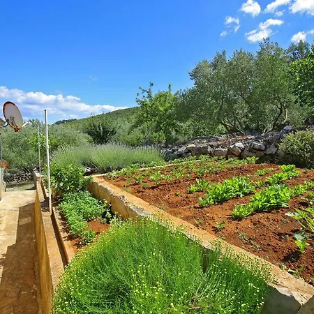 House Neda, Dugi Otok